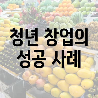 청년 창업의 성공 사례