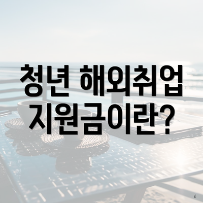 청년 해외취업 지원금이란?