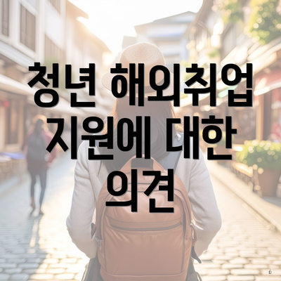 청년 해외취업 지원에 대한 의견