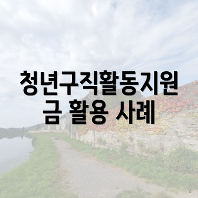 청년구직활동지원금 활용 사례