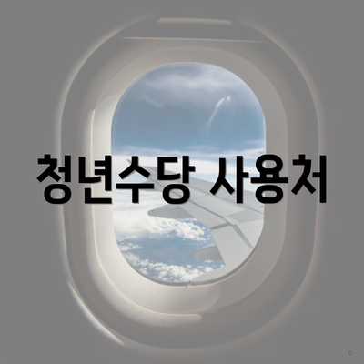 청년수당 사용처