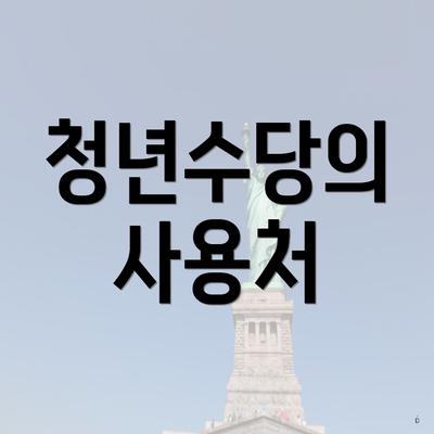 청년수당의 사용처
