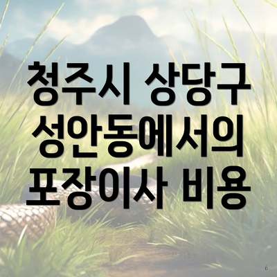 청주시 상당구 성안동에서의 포장이사 비용
