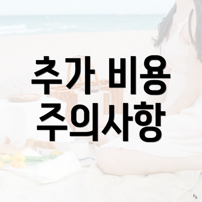 추가 비용 주의사항