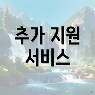 추가 지원 서비스