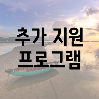 추가 지원 프로그램