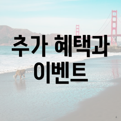 추가 혜택과 이벤트
