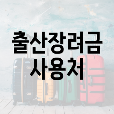 출산장려금 사용처