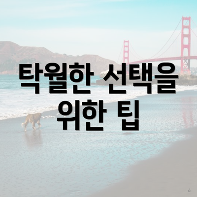 탁월한 선택을 위한 팁