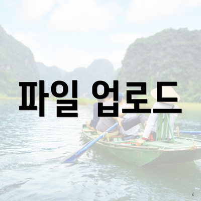 파일 업로드