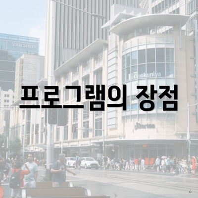 프로그램의 장점