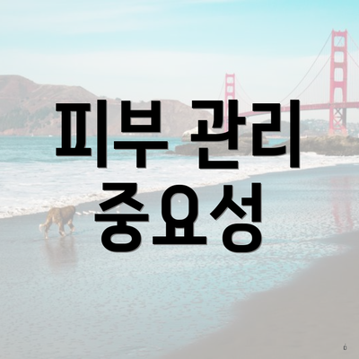 피부 관리 중요성