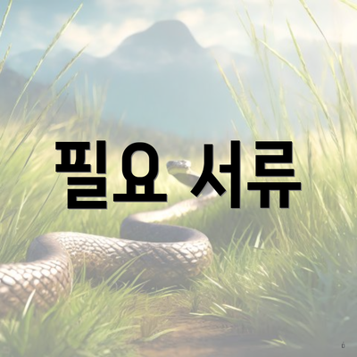 필요 서류
