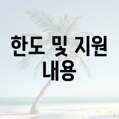 한도 및 지원 내용