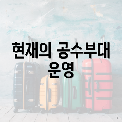 현재의 공수부대 운영
