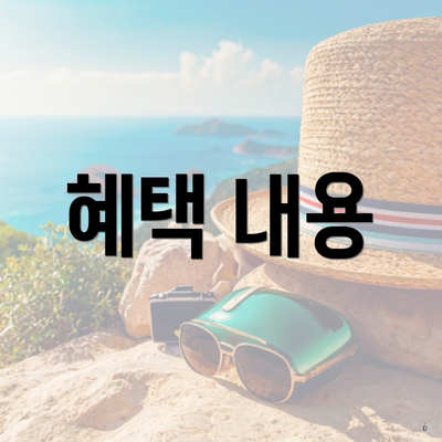 혜택 내용