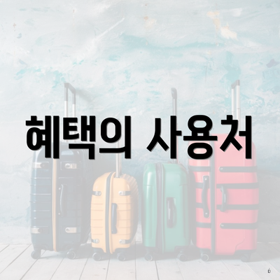 혜택의 사용처