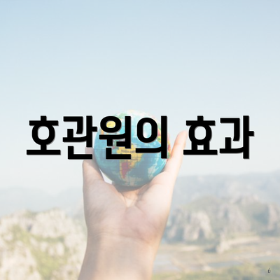 호관원의 효과