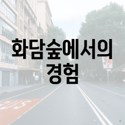 화담숲에서의 경험